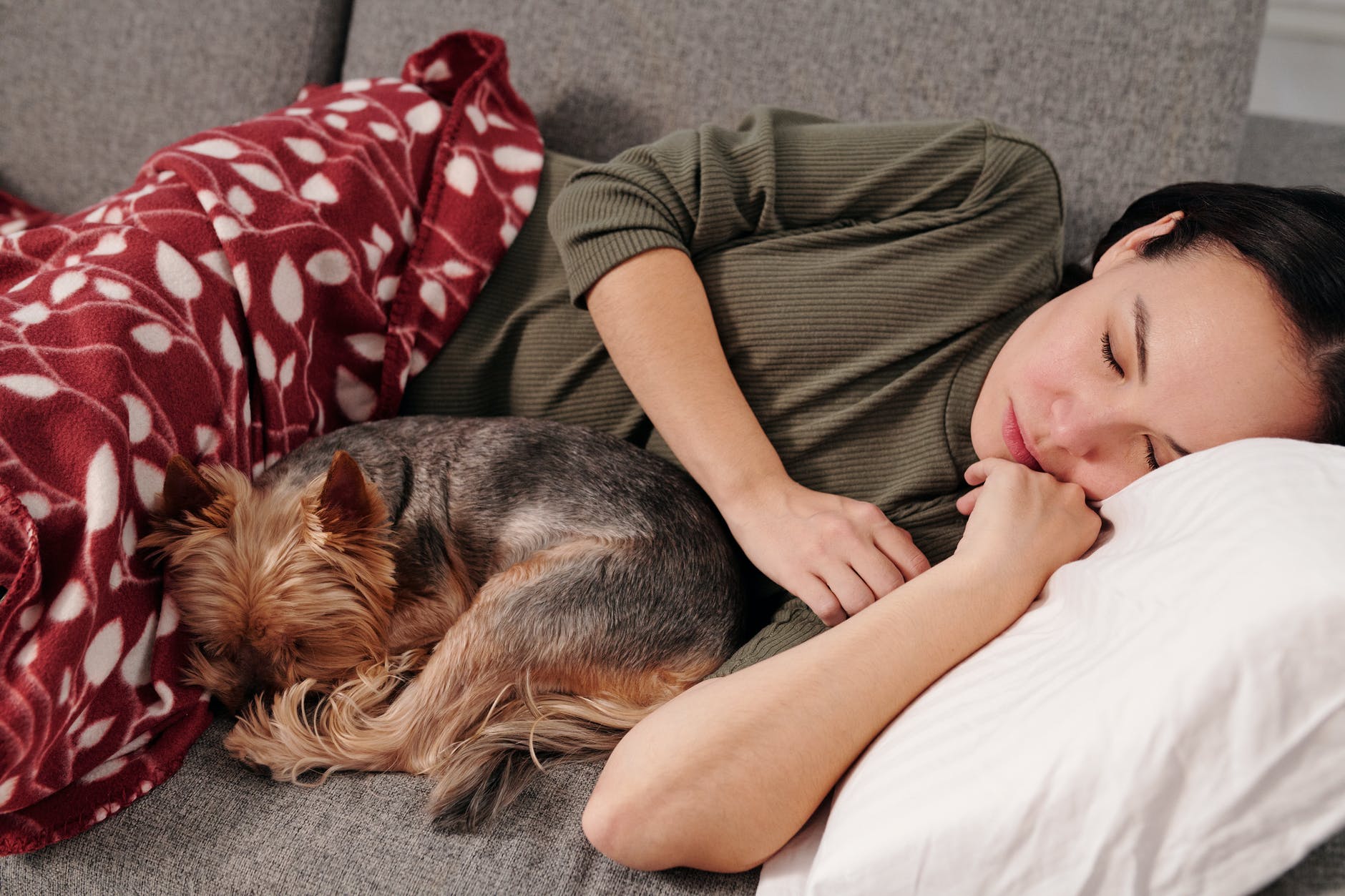 you should stop sleeping with your pet